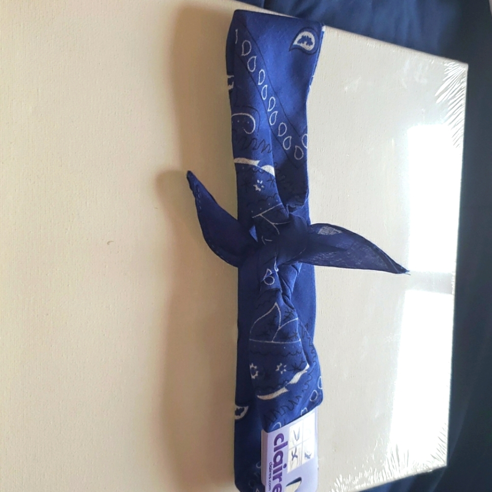 Blue bandanna